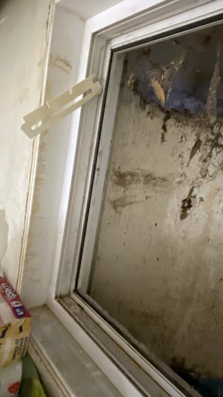 BAU.DE / BAU-Forum: 2. Bild zu Frage "Ausbau Kellerfenster" im BAU-Forum "Fenster und Au&szlig;ent&uuml;ren"