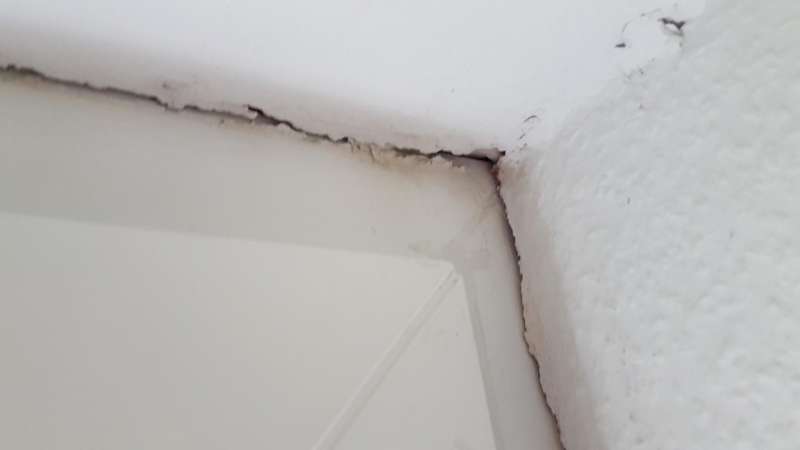 BAU.DE / BAU-Forum: 1. Bild zu Frage "Altbau (1978) mit Fenstern (2004) &nbsp;-&nbsp; Fenster abdichten / "ert&uuml;chtigen" - wie vorgehen und welche Materialien verwenden?" im BAU-Forum "Fenster und Au&szlig;ent&uuml;ren"