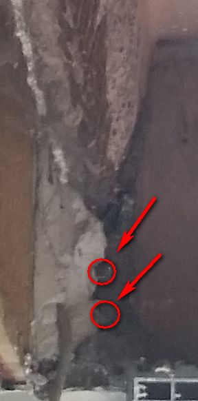 BAU.DE / BAU-Forum: 3. Bild zu Frage "Ist der geschw&auml;chte Rollladensturz noch tragf&auml;hig?" im BAU-Forum "Fenster und Au&szlig;ent&uuml;ren"