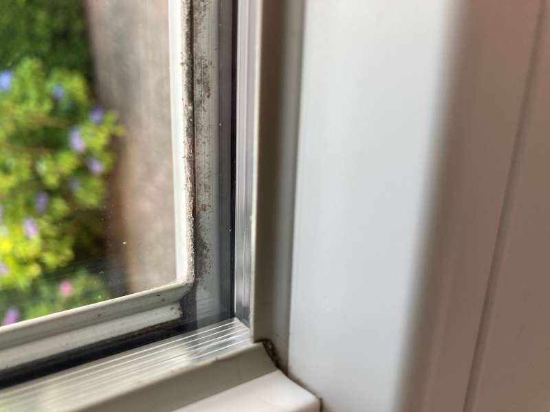 BAU.DE / BAU-Forum: 1. Bild zu Frage "Kunststoffenster: Außenkitt erneuern" im BAU-Forum "Fenster und Außentüren" BAU.DE / BAU-Forum: 1. Bild zu Frage "Kunststoffenster: Außenkitt erneuern" im BAU-Forum "Fenster und Außentüren"