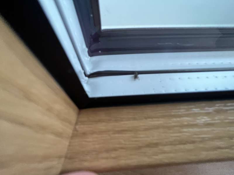 BAU.DE / BAU-Forum: 4. Bild zu Frage "Fensteraustausch - Probleme mit Firma" im BAU-Forum "Fenster und Außentüren" BAU.DE / BAU-Forum: 4. Bild zu Frage "Fensteraustausch - Probleme mit Firma" im BAU-Forum "Fenster und Außentüren"