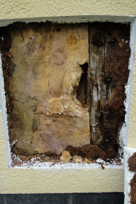 BAU.DE / BAU-Forum: 2. Bild zu Antwort "🔴 Fassadenschaden Fingerhuthaus: Ursachen, Sanierung & Risiken" auf die Frage "Putzrisse am Fertighaus: Ursachen, Risiken & Sanierungskosten?" im BAU-Forum "Fertighaus"