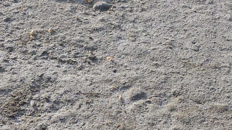 BAU.DE / BAU-Forum: 2. Bild zu Frage "Bodenplatte richtig erstellt? Checkliste, Risiken & Kosten der Pr&uuml;fung" im BAU-Forum "Fertighaus"