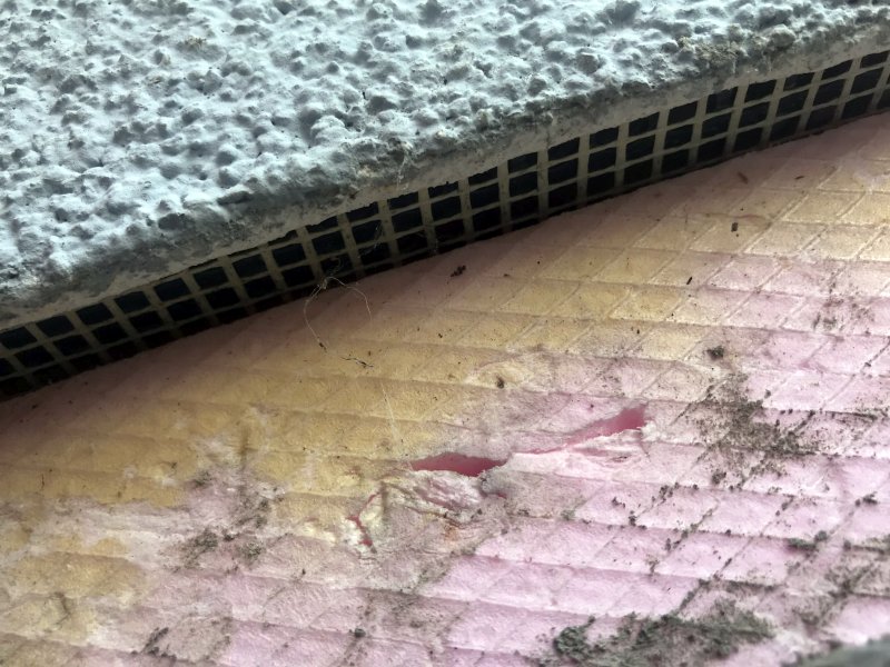 BAU.DE / BAU-Forum: 2. Bild zu Frage "Feuchtigkeit im Sockelbereich: Ursachen, Risiken & L&ouml;sungen f&uuml;r Fertighaus-Au&szlig;enwand?" im BAU-Forum "Fertighaus"