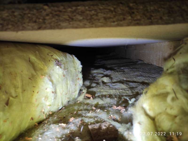 BAU.DE / BAU-Forum: 2. Bild zu Antwort "Zwischendeckend&auml;mmung: Erg&auml;nzung der Steinwolle sinnvoll?" auf die Frage "Zwischendecke d&auml;mmen: Optimierung der D&auml;mmung zwischen Erdgeschoss und Obergeschoss?" im BAU-Forum "Fertighaus"