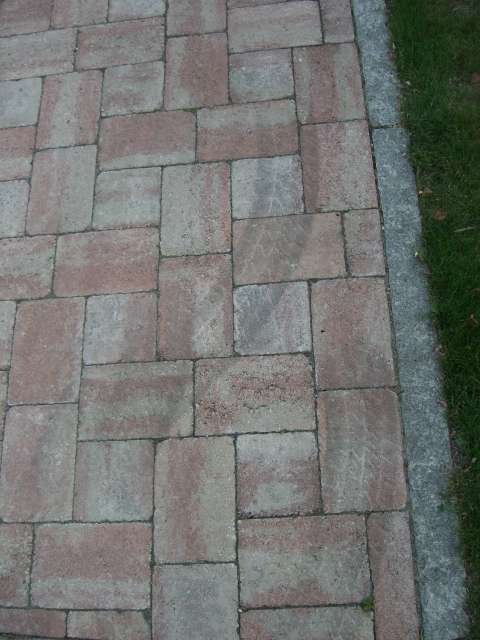 BAU.DE / BAU-Forum: 3. Bild zu Frage "Betonsteinpflaster reinigen mit Hochdruckreiniger: Risiken, Sch&auml;den & Alternativen?" im BAU-Forum "Rund um den Garten"