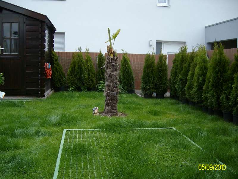 BAU.DE / BAU-Forum: 1. Bild zu Frage "Versickerungsmulde abdecken: Gitter, Bepflanzung & Sicherheit f&uuml;r Kinder/Tiere?" im BAU-Forum "Rund um den Garten"