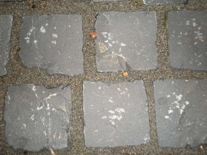 BAU.DE / BAU-Forum: 1. Bild zu Antwort "Basaltpflaster: Foto zeigt Hammerspuren trotz guter Verlegung" auf die Frage "Basaltpflaster verlegen: Hammerspuren vermeiden &ndash; Ursachen, Werkzeug & Profi-Tipps" im BAU-Forum "Rund um den Garten"