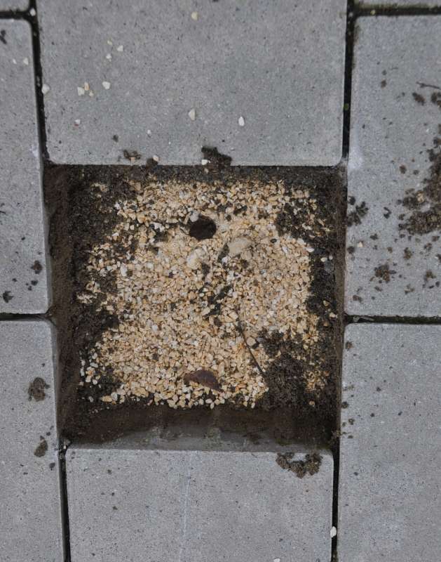 BAU.DE / BAU-Forum: 2. Bild zu Antwort "Foto..." auf die Frage "Pflaster verf&auml;rbt sich braun: Ursachen, Splitt-Sorten & Sanierungskosten?" im BAU-Forum "Rund um den Garten"