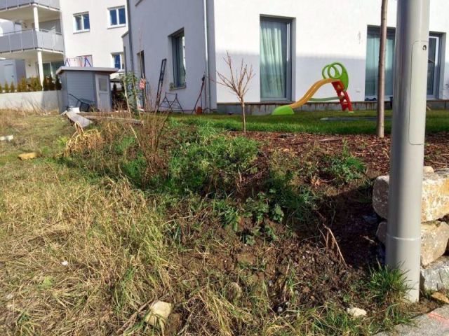 BAU.DE / BAU-Forum: 1. Bild zu Frage "Kleine B&ouml;schung abfangen" im BAU-Forum "Rund um den Garten"