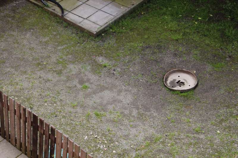 BAU.DE / BAU-Forum: 1. Bild zu Frage "L&ouml;cher Hofeinfahrt Splitt schlie&szlig;en" im BAU-Forum "Rund um den Garten"