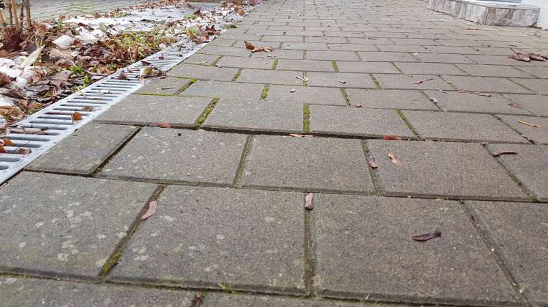 BAU.DE / BAU-Forum: 2. Bild zu Antwort "Guten Abend, vielen Dank f&uuml;r das Feedback..." auf die Frage "Pflastersteine uneben: Ursachenforschung & Risikobewertung f&uuml;r Gehwegsch&auml;den?" im BAU-Forum "Rund um den Garten"