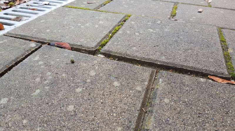 BAU.DE / BAU-Forum: 3. Bild zu Antwort "Guten Abend, vielen Dank f&uuml;r das Feedback..." auf die Frage "Pflastersteine uneben: Ursachenforschung & Risikobewertung f&uuml;r Gehwegsch&auml;den?" im BAU-Forum "Rund um den Garten"