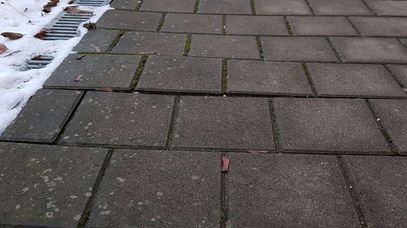 BAU.DE / BAU-Forum: 4. Bild zu Antwort "Guten Abend, vielen Dank f&uuml;r das Feedback..." auf die Frage "Pflastersteine uneben: Ursachenforschung & Risikobewertung f&uuml;r Gehwegsch&auml;den?" im BAU-Forum "Rund um den Garten"