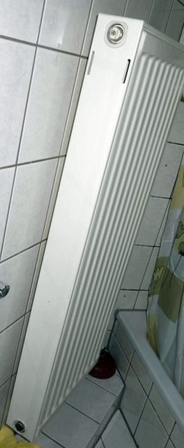 BAU.DE / BAU-Forum: 1. Bild zu Frage "Heizk&ouml;rperverkleidung demontieren: Anleitung, Systeme & Reinigungstipps" im BAU-Forum "Heizung / Warmwasser"