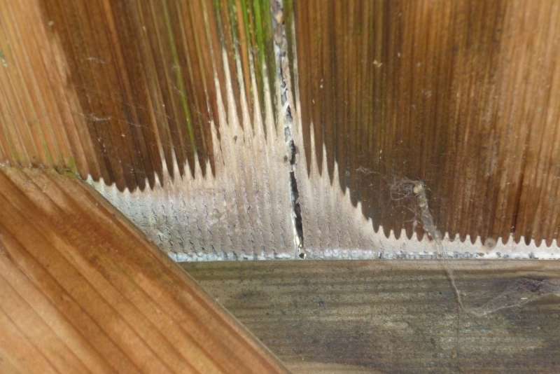 BAU.DE / BAU-Forum: 2. Bild zu Frage "Pilz, Schwamm? Und was tun?" im BAU-Forum "Holzbau"