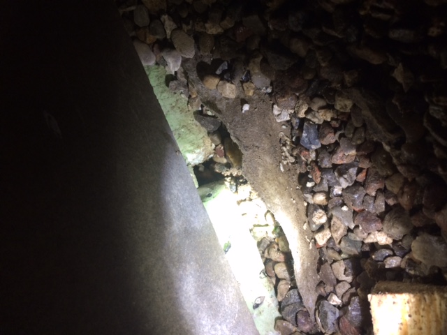 BAU.DE / BAU-Forum: 2. Bild zu Frage "M&auml;use im Holzrahmenhaus: Ursachen, Bek&auml;mpfung & Schutz der Sockeld&auml;mmung?" im BAU-Forum "Holzbau"