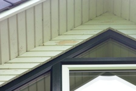 BAU.DE / BAU-Forum: 1. Bild zu Antwort "Giebelverkleidung: Abplatzende Farbe bei Nut-Feder-Brettern" auf die Frage "Farbe bl&auml;ttert an Giebelverkleidung ab: Ursachen, Sanierung & Gew&auml;hrleistung?" im BAU-Forum "Holzschutz, Holzsch&auml;den, Holzsanierung"