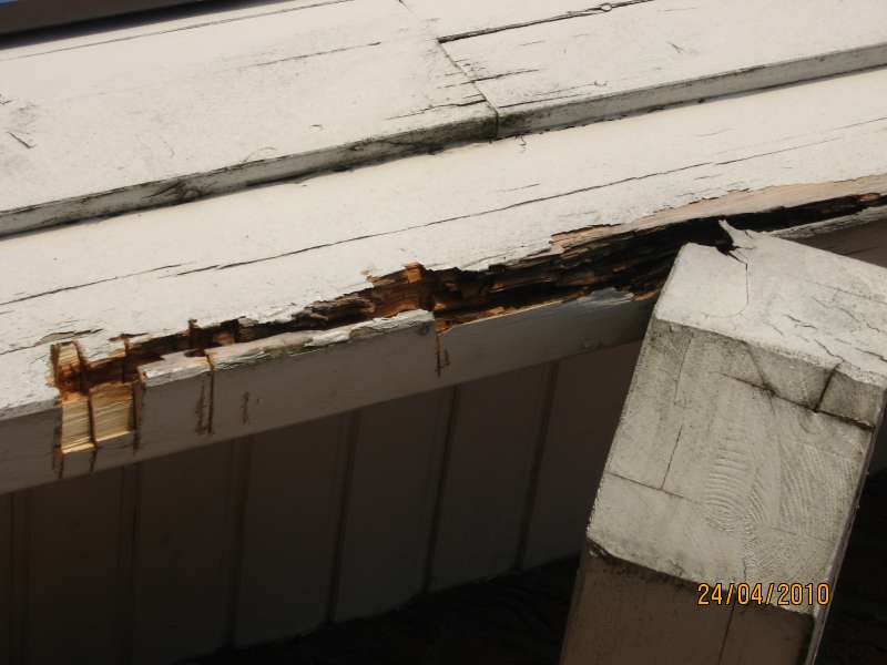 BAU.DE / BAU-Forum: 1. Bild zu Frage "Verfaulte Pfetten & Sparren: Ursachen, Sanierung & Kosten bei 12 Jahre altem Haus?" im BAU-Forum "Holzschutz, Holzschäden, Holzsanierung" BAU.DE / BAU-Forum: 1. Bild zu Frage "Verfaulte Pfetten & Sparren: Ursachen, Sanierung & Kosten bei 12 Jahre altem Haus?" im BAU-Forum "Holzschutz, Holzschäden, Holzsanierung"