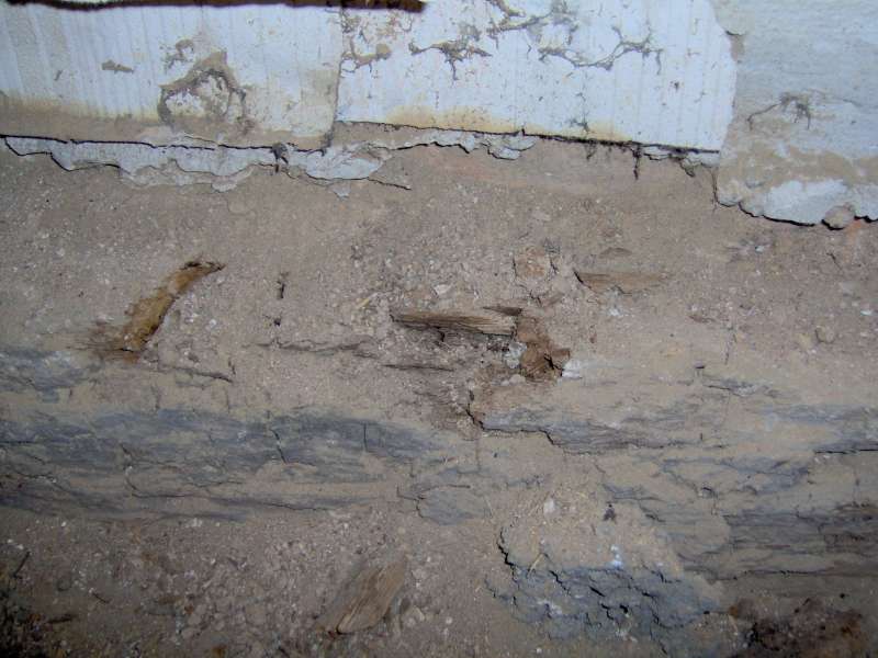 BAU.DE / BAU-Forum: 2. Bild zu Frage "W&uuml;rfelbruch & Sch&auml;dlingsbefall nach Deckenausbau: Haftung des Auftragnehmers?" im BAU-Forum "Holzschutz, Holzsch&auml;den, Holzsanierung"