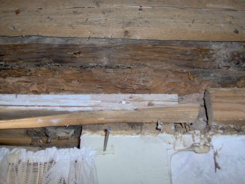 BAU.DE / BAU-Forum: 3. Bild zu Frage "W&uuml;rfelbruch & Sch&auml;dlingsbefall nach Deckenausbau: Haftung des Auftragnehmers?" im BAU-Forum "Holzschutz, Holzsch&auml;den, Holzsanierung"