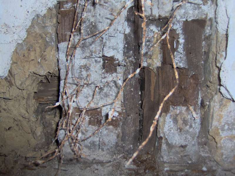 BAU.DE / BAU-Forum: 4. Bild zu Frage "W&uuml;rfelbruch & Sch&auml;dlingsbefall nach Deckenausbau: Haftung des Auftragnehmers?" im BAU-Forum "Holzschutz, Holzsch&auml;den, Holzsanierung"