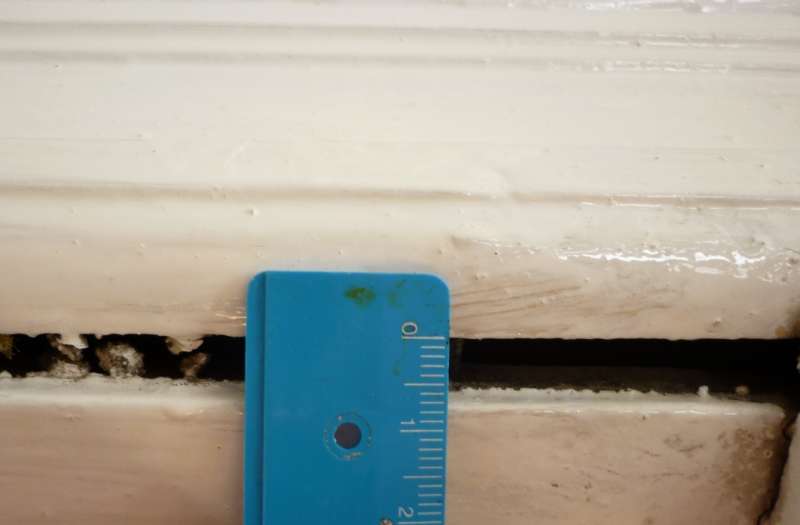 BAU.DE / BAU-Forum: 2. Bild zu Frage "T&uuml;rzarge im Altbau restaurieren: Spalt reparieren &ndash; Anleitung & Tipps" im BAU-Forum "Holzschutz, Holzsch&auml;den, Holzsanierung"