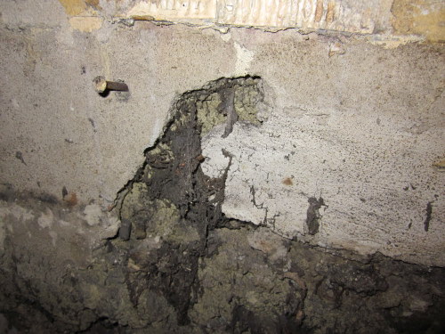 BAU.DE / BAU-Forum: 4. Bild zu Frage "Schwamm oder Pilz im Haus erkennen: Ursachen, Gefahren & Ma&szlig;nahmen?" im BAU-Forum "Holzschutz, Holzsch&auml;den, Holzsanierung"