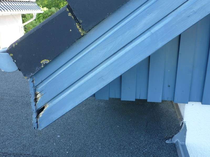 BAU.DE / BAU-Forum: 2. Bild zu Frage "Giebelseiten Holzverkleidung fault: Ursachen, Sanierung & Schutz vor Feuchtigkeit?" im BAU-Forum "Holzschutz, Holzsch&auml;den, Holzsanierung"