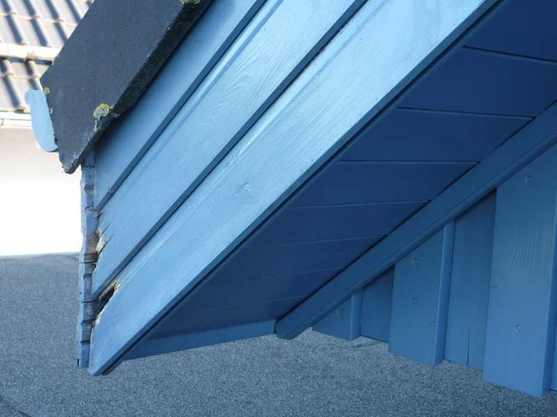 BAU.DE / BAU-Forum: 3. Bild zu Frage "Giebelseiten Holzverkleidung fault: Ursachen, Sanierung & Schutz vor Feuchtigkeit?" im BAU-Forum "Holzschutz, Holzsch&auml;den, Holzsanierung"