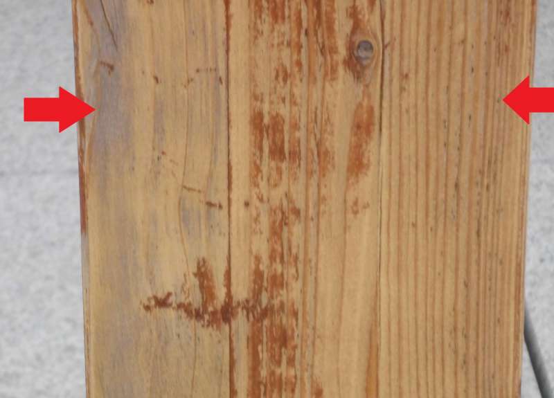 BAU.DE / BAU-Forum: 2. Bild zu Frage "Pilzbefall auf Holzterrasse erkennen & behandeln: Ursachen, Ma&szlig;nahmen & Kosten?" im BAU-Forum "Holzschutz, Holzsch&auml;den, Holzsanierung"