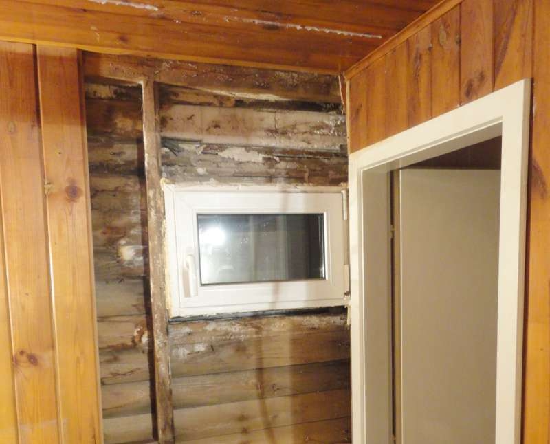 BAU.DE / BAU-Forum: 1. Bild zu Frage "Feuchteschaden im Holzhaus: Pilzarten erkennen, beseitigen & Ursachen beheben?" im BAU-Forum "Holzschutz, Holzsch&auml;den, Holzsanierung"