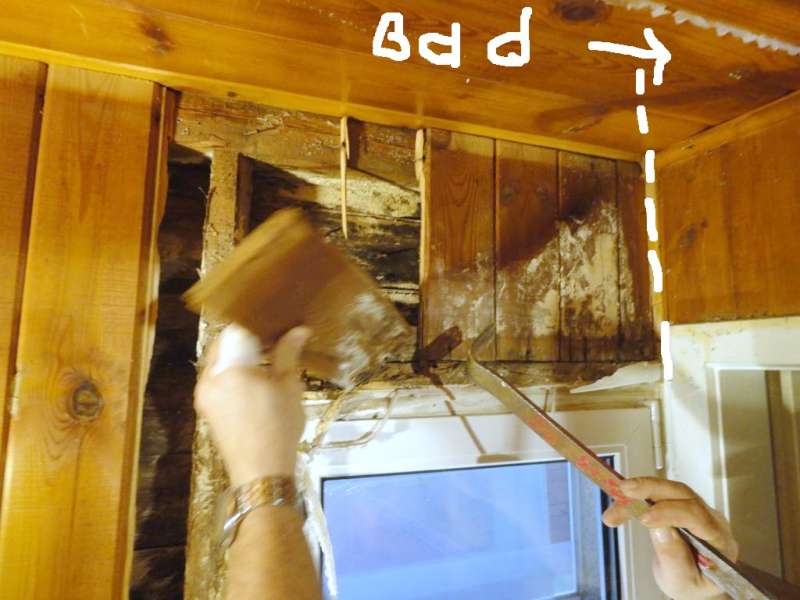 BAU.DE / BAU-Forum: 2. Bild zu Frage "Feuchteschaden im Holzhaus: Pilzarten erkennen, beseitigen & Ursachen beheben?" im BAU-Forum "Holzschutz, Holzsch&auml;den, Holzsanierung"