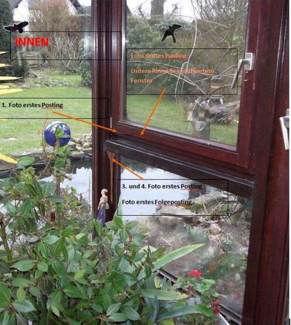 BAU.DE / BAU-Forum: 1. Bild zu Antwort "Wintergarten &ndash; Gesamtansicht innen/au&szlig;en zur Schadensanalyse" auf die Frage "Holzschaden im Wintergarten: Ursachen erkennen, bek&auml;mpfen & Bausubstanz sichern" im BAU-Forum "Holzschutz, Holzsch&auml;den, Holzsanierung"