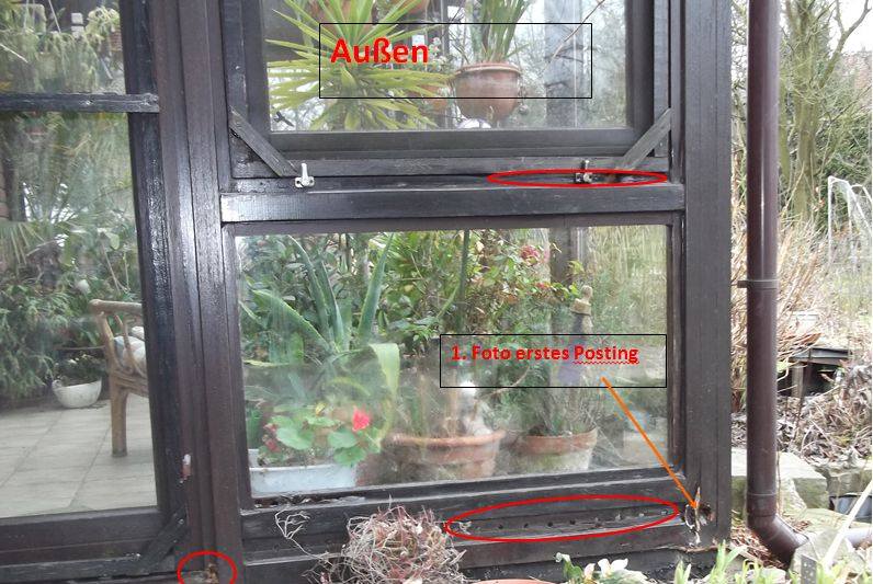 BAU.DE / BAU-Forum: 2. Bild zu Antwort "Wintergarten &ndash; Gesamtansicht innen/au&szlig;en zur Schadensanalyse" auf die Frage "Holzschaden im Wintergarten: Ursachen erkennen, bek&auml;mpfen & Bausubstanz sichern" im BAU-Forum "Holzschutz, Holzsch&auml;den, Holzsanierung"