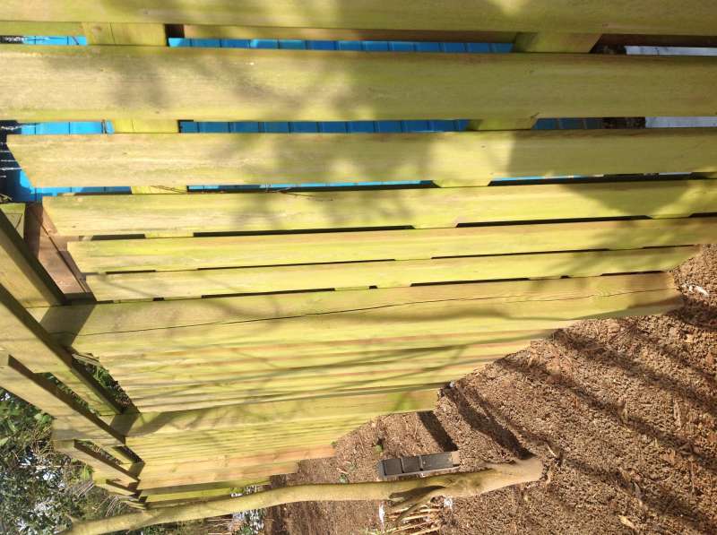 BAU.DE / BAU-Forum: 2. Bild zu Frage "Holzzaun sanieren & vergr&uuml;nen: Reinigung, Lasur & Schutz vor Bl&auml;ue?" im BAU-Forum "Holzschutz, Holzsch&auml;den, Holzsanierung"