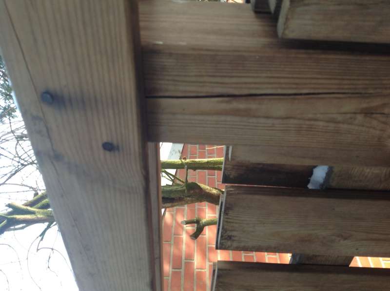 BAU.DE / BAU-Forum: 3. Bild zu Frage "Holzzaun sanieren & vergr&uuml;nen: Reinigung, Lasur & Schutz vor Bl&auml;ue?" im BAU-Forum "Holzschutz, Holzsch&auml;den, Holzsanierung"