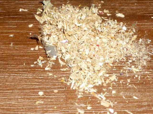 BAU.DE / BAU-Forum: 2. Bild zu Frage "Holzbalkendecke besch&auml;digt: Ursachen f&uuml;r Holzsp&auml;ne, Sch&auml;dlingsbefall & Sanierung?" im BAU-Forum "Holzschutz, Holzsch&auml;den, Holzsanierung"