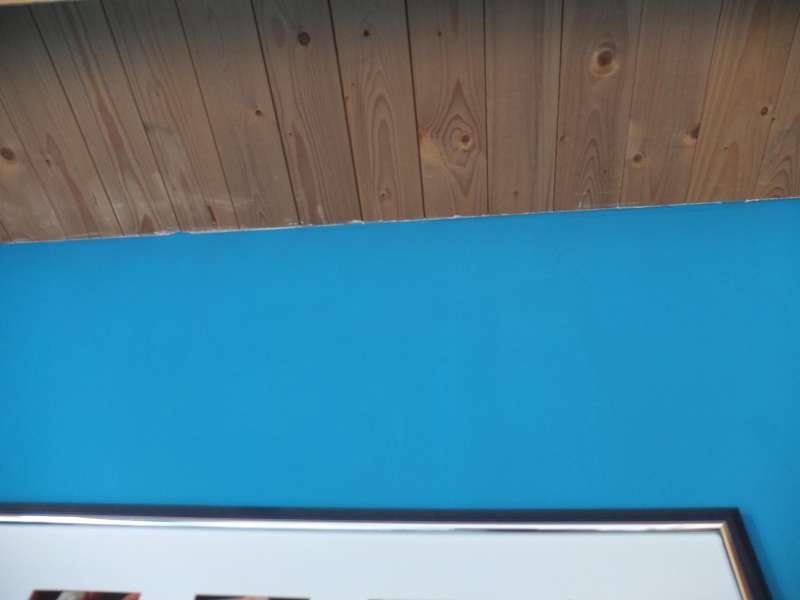 BAU.DE / BAU-Forum: 4. Bild zu Frage "Holzsp&auml;ne & schwarze K&uuml;gelchen im Schlafzimmer: Ursachenforschung & Sch&auml;dlingsbek&auml;mpfung?" im BAU-Forum "Holzschutz, Holzsch&auml;den, Holzsanierung"