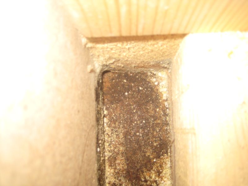 BAU.DE / BAU-Forum: 1. Bild zu Frage "Hallo, wir haben ein ziemliches Schimmel..." im BAU-Forum "Holzschutz, Holzsch&auml;den, Holzsanierung"