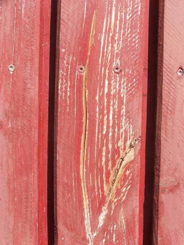 BAU.DE / BAU-Forum: 3. Bild zu Frage "Holzfassade sanieren vor Neuanstrich" im BAU-Forum "Holzschutz, Holzsch&auml;den, Holzsanierung"