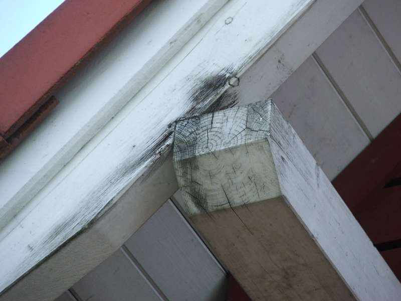 BAU.DE / BAU-Forum: 4. Bild zu Frage "Holzfassade sanieren vor Neuanstrich" im BAU-Forum "Holzschutz, Holzsch&auml;den, Holzsanierung"