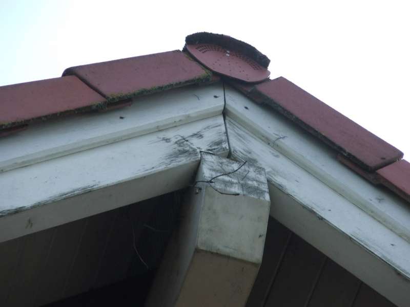 BAU.DE / BAU-Forum: 5. Bild zu Frage "Holzfassade sanieren vor Neuanstrich" im BAU-Forum "Holzschutz, Holzsch&auml;den, Holzsanierung"