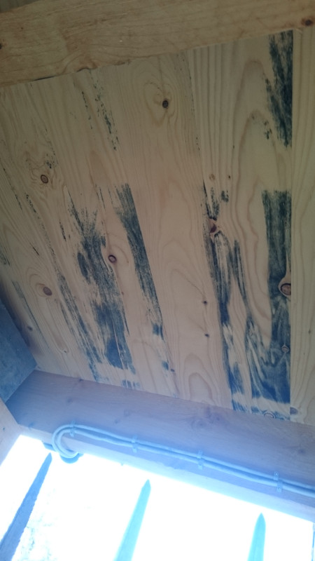 BAU.DE / BAU-Forum: 2. Bild zu Frage "Ver&auml;nderungen Holzschalung" im BAU-Forum "Holzschutz, Holzsch&auml;den, Holzsanierung"