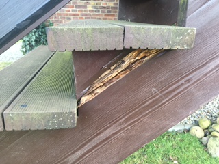 BAU.DE / BAU-Forum: 1. Bild zu Frage "Wei&szlig;er Pilz oder Schwamm an Treppe Holzart L&auml;rche mit Bankirai Stufen" im BAU-Forum "Holzschutz, Holzsch&auml;den, Holzsanierung"