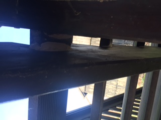 BAU.DE / BAU-Forum: 2. Bild zu Frage "Wei&szlig;er Pilz oder Schwamm an Treppe Holzart L&auml;rche mit Bankirai Stufen" im BAU-Forum "Holzschutz, Holzsch&auml;den, Holzsanierung"