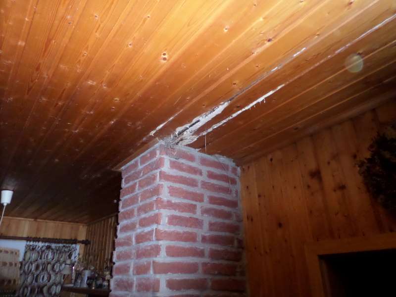 BAU.DE / BAU-Forum: 1. Bild zu Frage "Wei&szlig;er Schimmel oder Schwamm" im BAU-Forum "Holzschutz, Holzsch&auml;den, Holzsanierung"