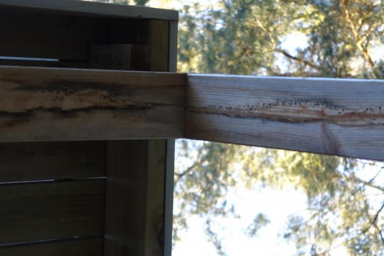 BAU.DE / BAU-Forum: 1. Bild zu Frage "Frage zu Schimmelflecken au&szlig;en an neuem Haus" im BAU-Forum "Holzschutz, Holzsch&auml;den, Holzsanierung"