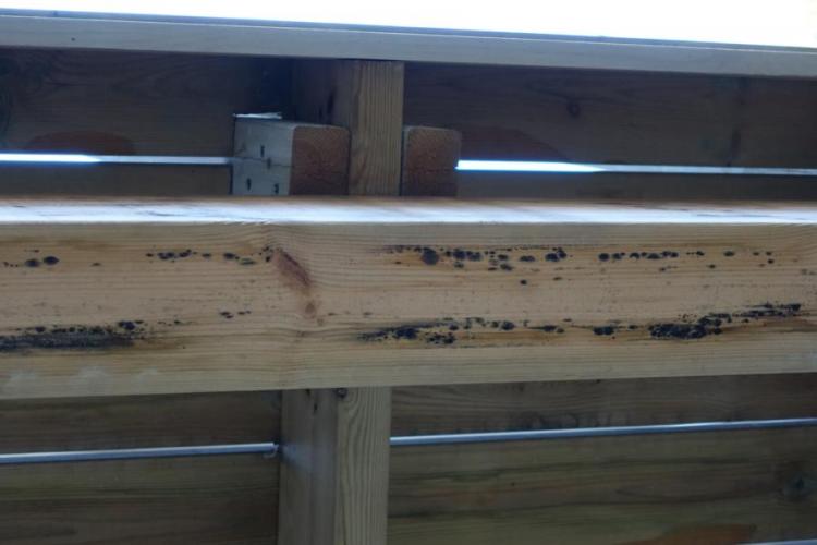 BAU.DE / BAU-Forum: 2. Bild zu Frage "Frage zu Schimmelflecken au&szlig;en an neuem Haus" im BAU-Forum "Holzschutz, Holzsch&auml;den, Holzsanierung"