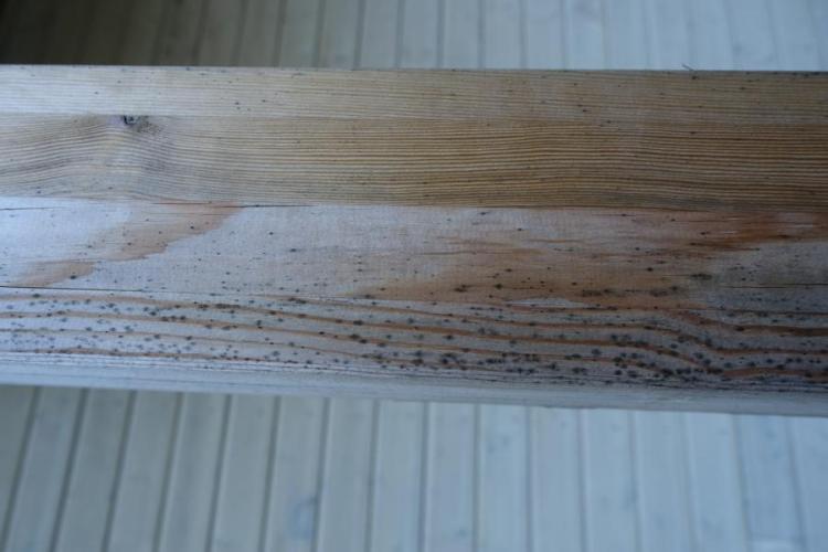 BAU.DE / BAU-Forum: 4. Bild zu Frage "Frage zu Schimmelflecken au&szlig;en an neuem Haus" im BAU-Forum "Holzschutz, Holzsch&auml;den, Holzsanierung"